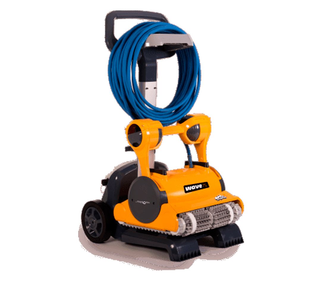 Disinfection - Cleaning Robotic pool cleaner Dolphin WAVE 75